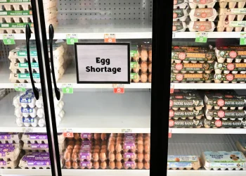 Egg Shortage