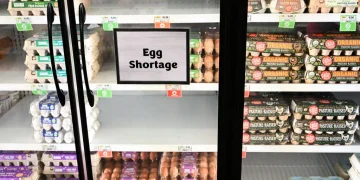 Egg Shortage